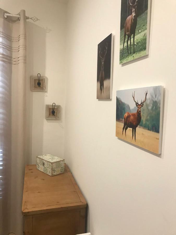 Apartament Neret II Sort Exterior photo